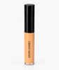 Erwin Gomez Concealer